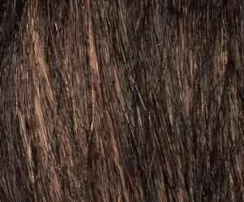 Bobbi wig - Envy Collection