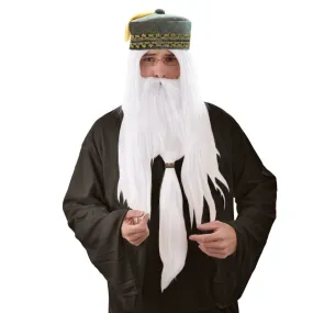 Wizard Wig and Beard Kit - Tomfoolery